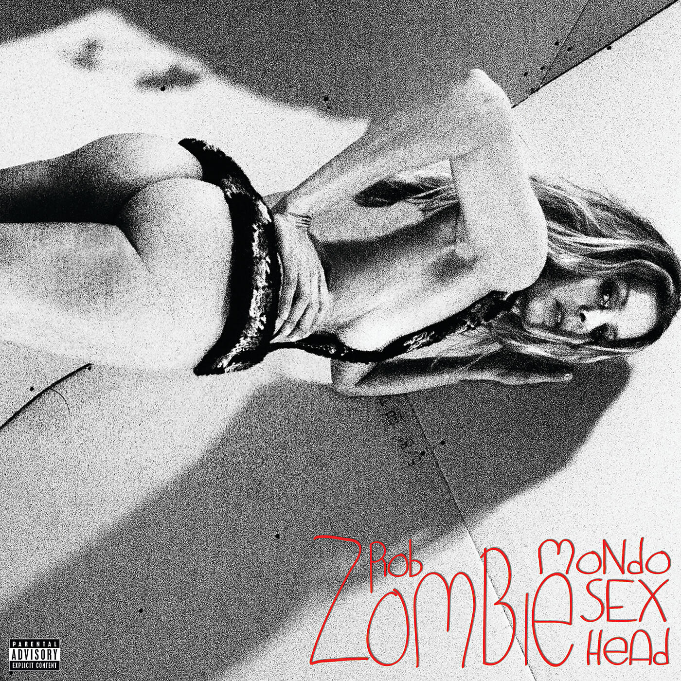 Rob Zombie - Never Gonna Stop (Drumcorps Acid Remix)