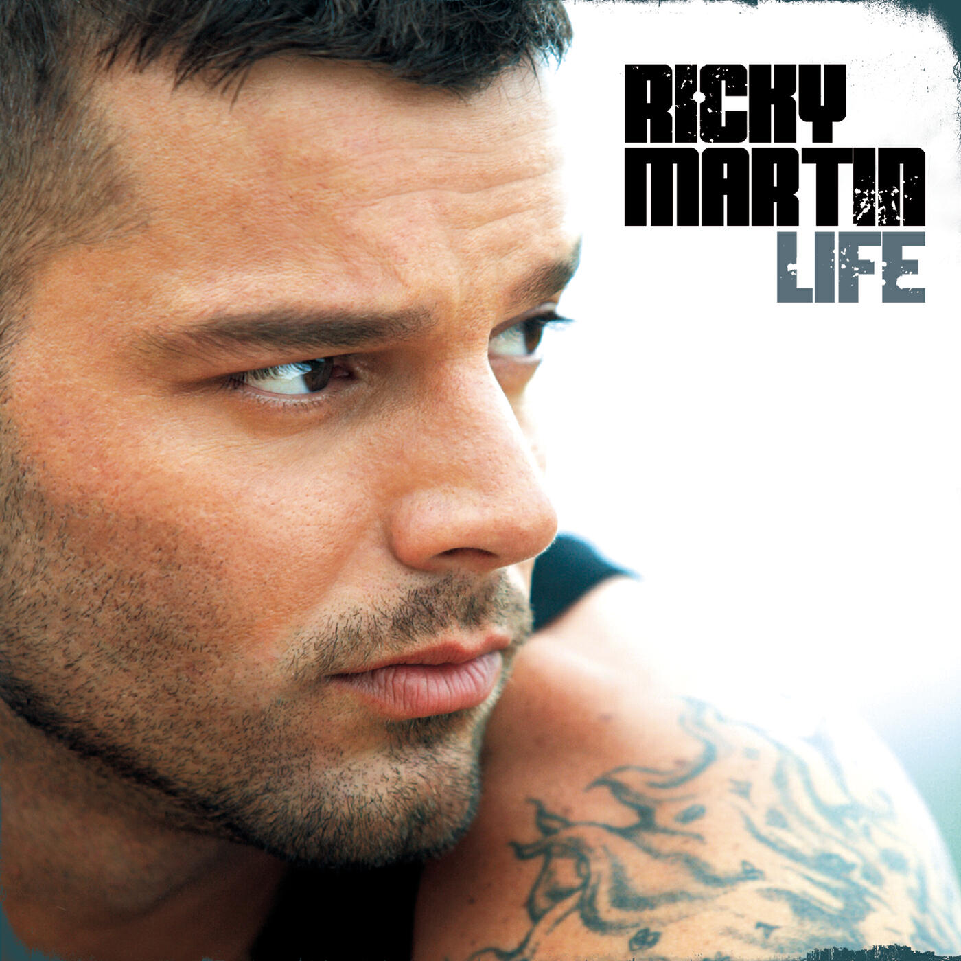 Ricky Martin - I Don't Care (English Version)