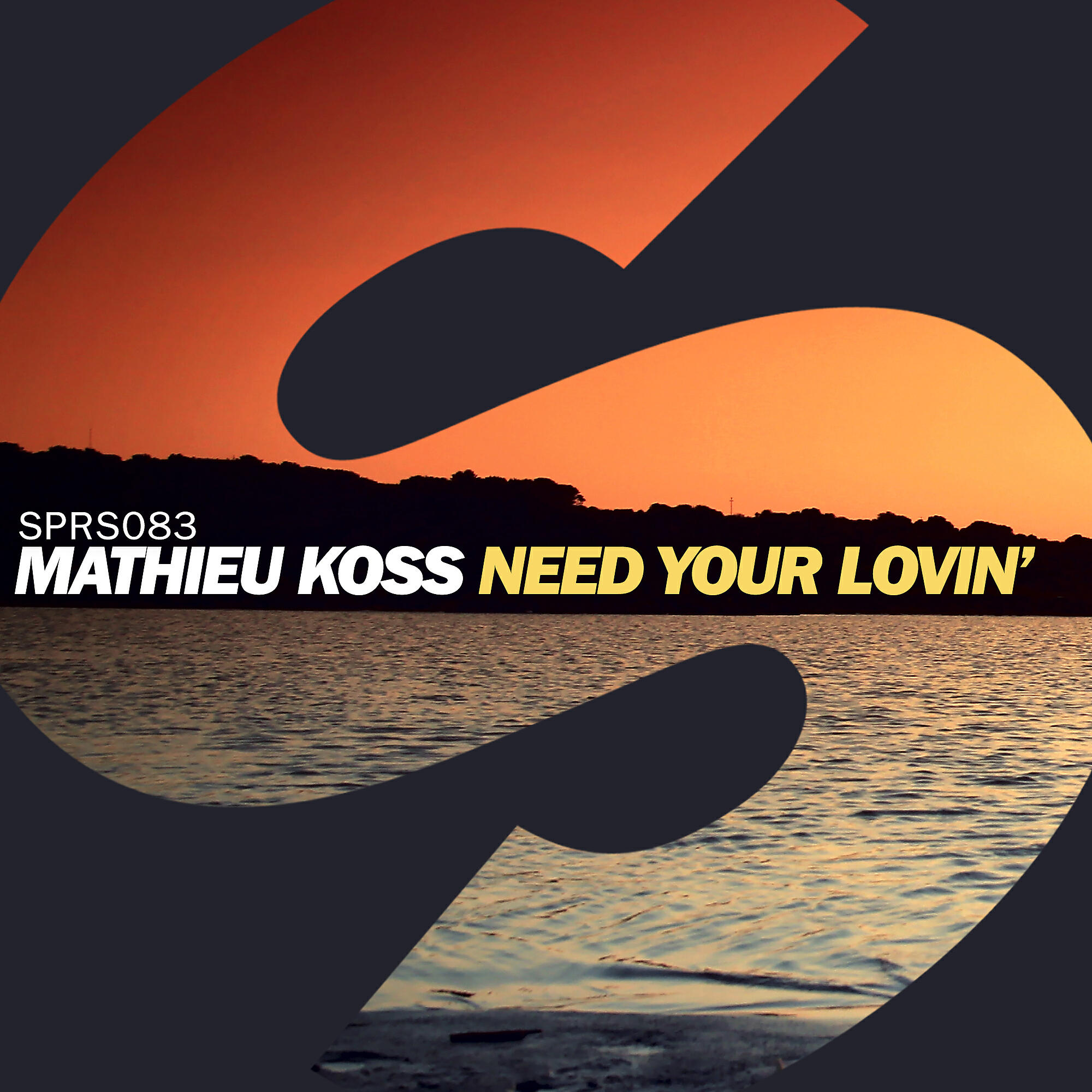 Mathieu Koss - Need Your Lovin'