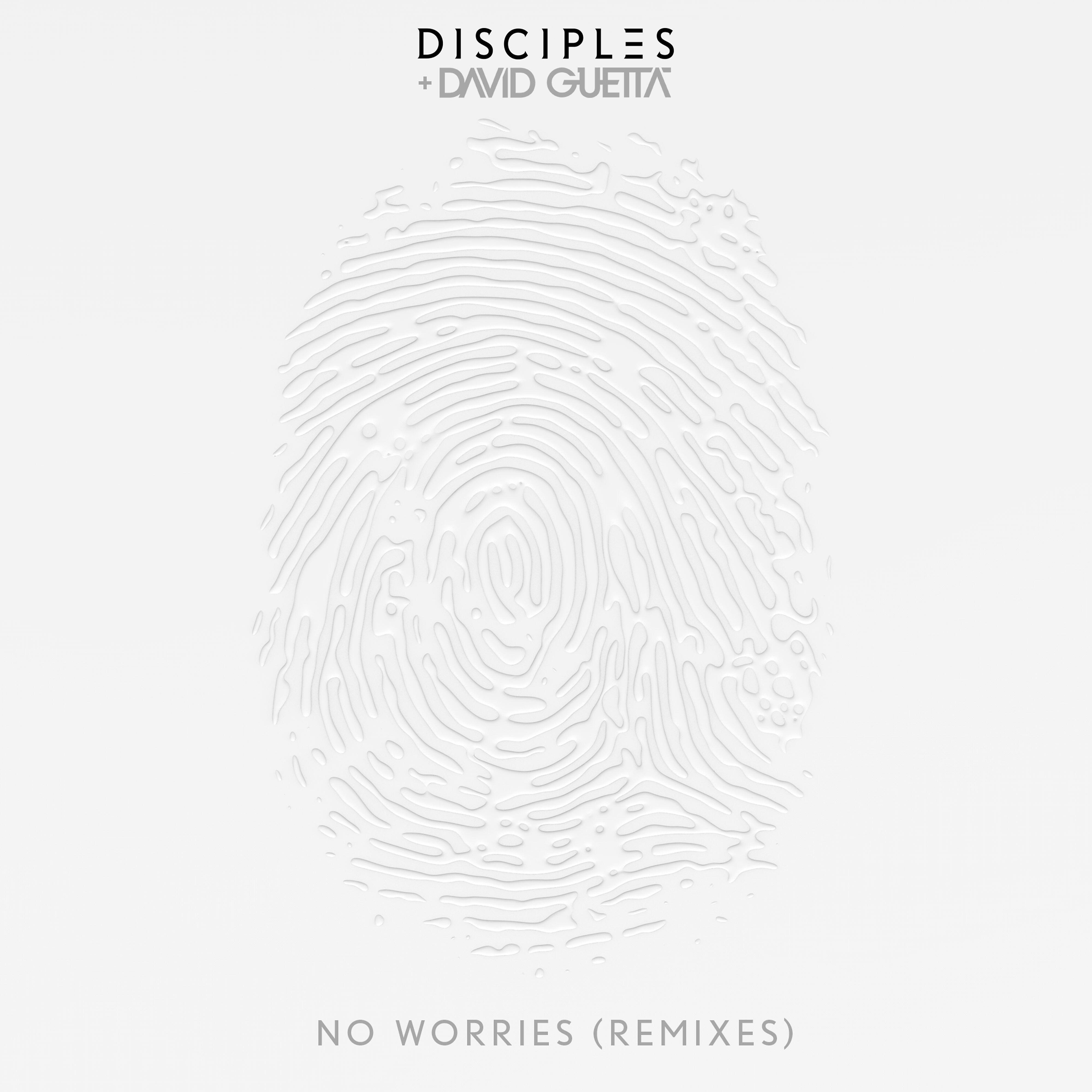 Disciples - No Worries (Todd Terry Dub)