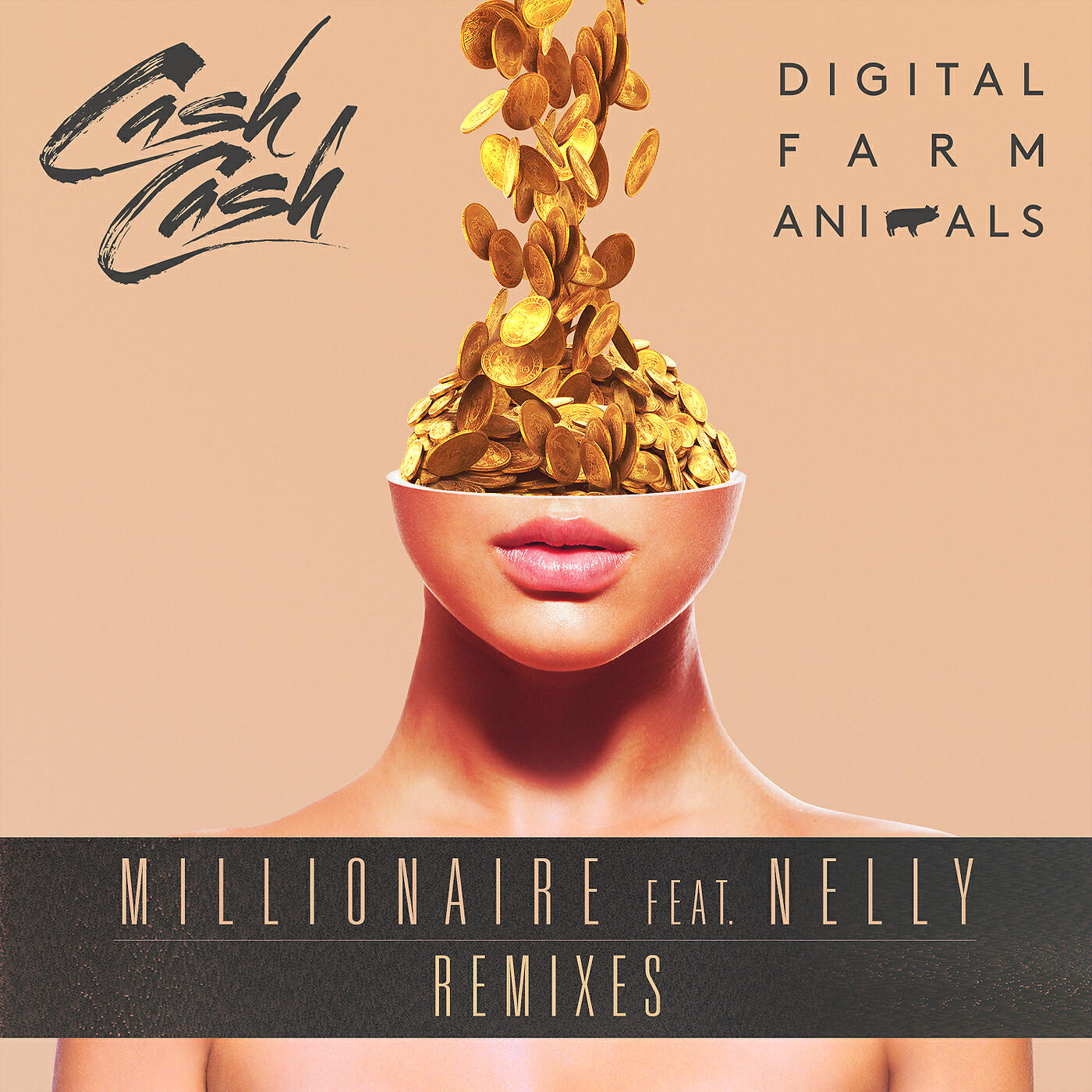 Cash Cash - Millionaire (Cash Cash Remix)