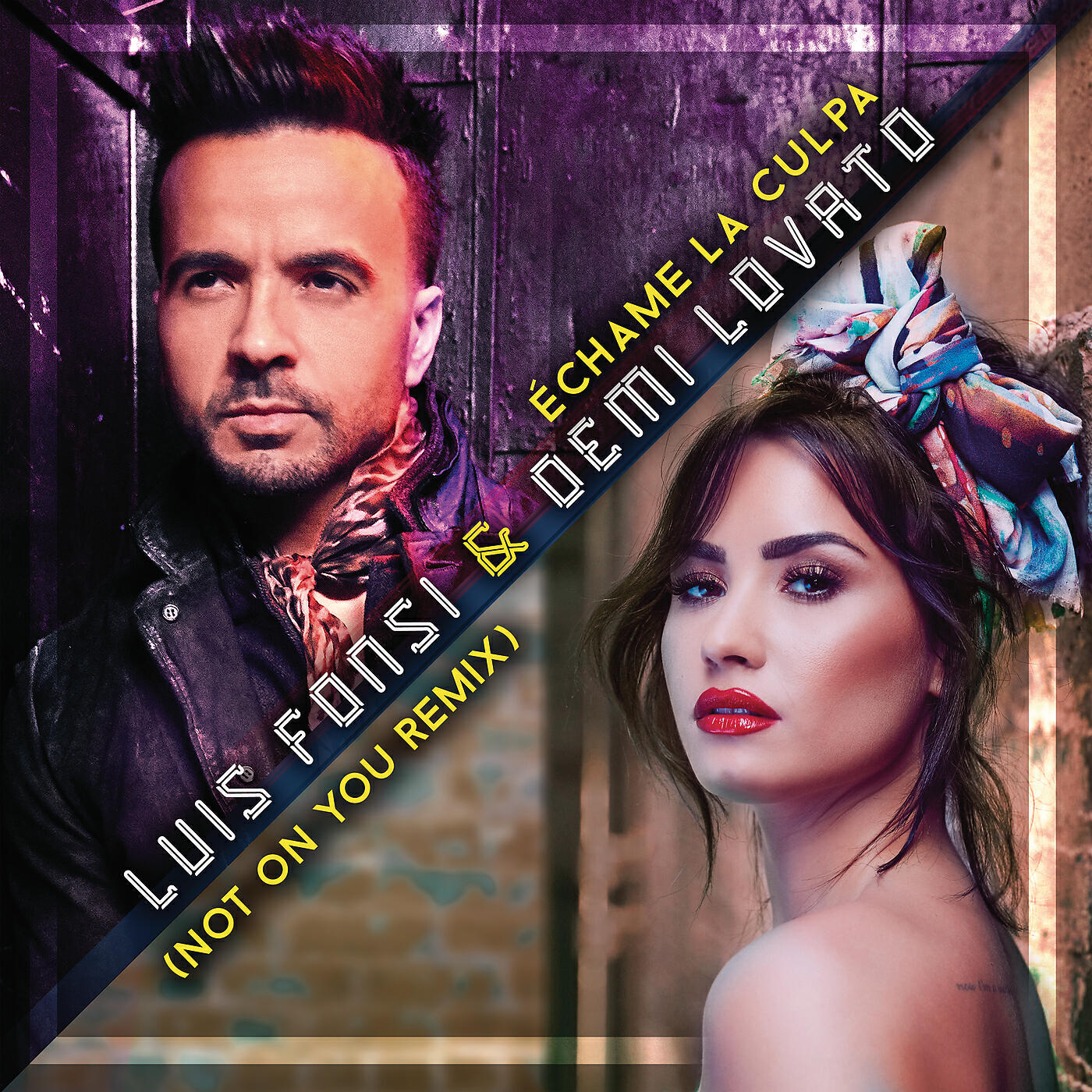 Luis Fonsi - Échame La Culpa (Not On You Remix)