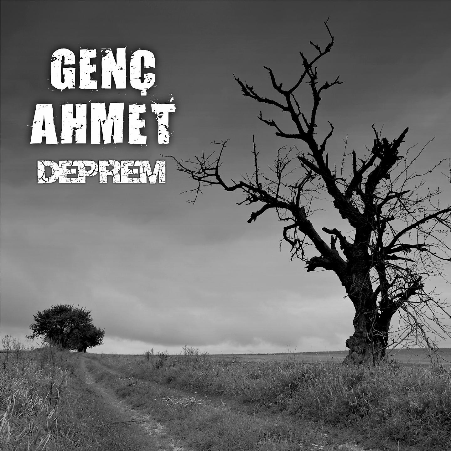 Genç Ahmet - Trafik Canavarı