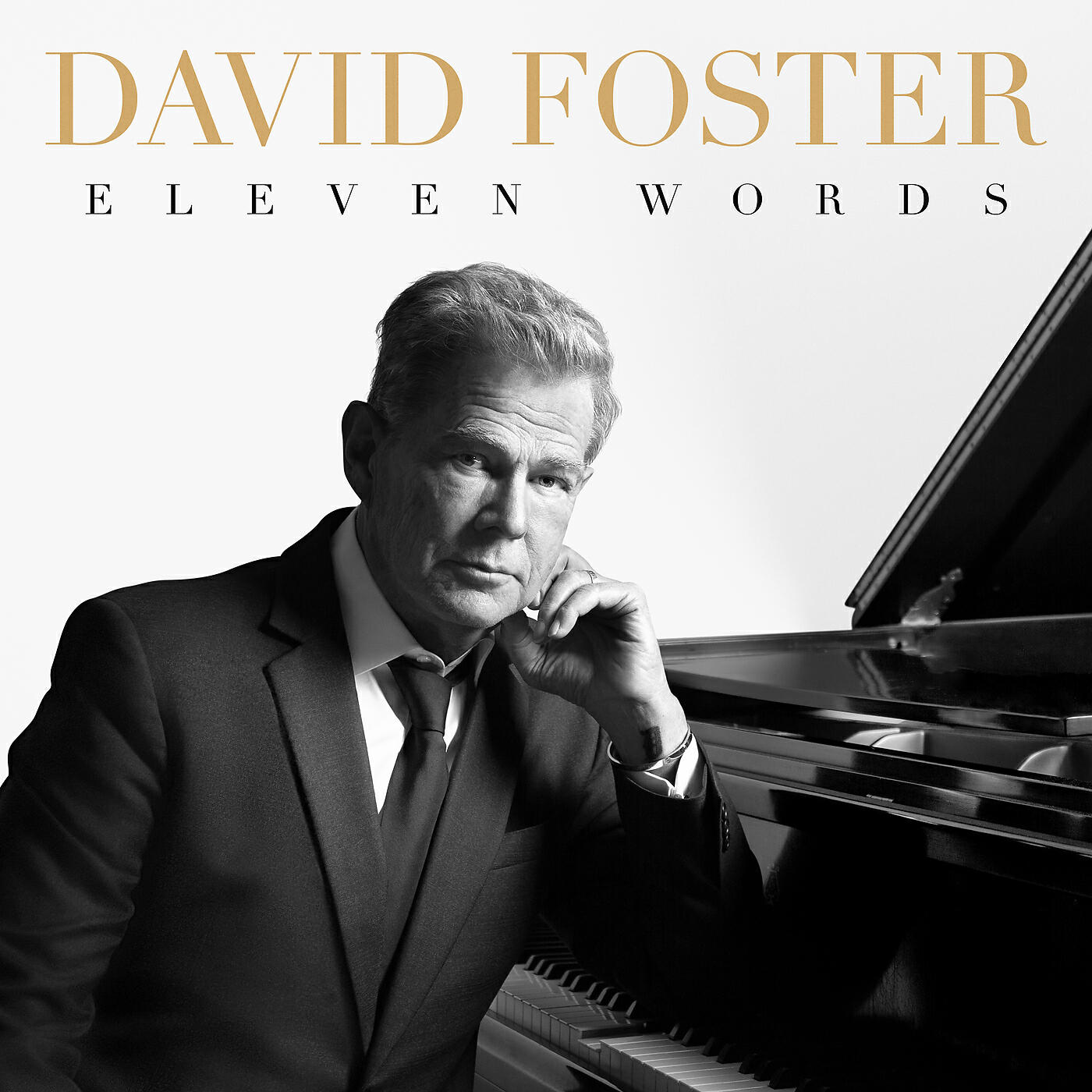 David Foster - Elegant