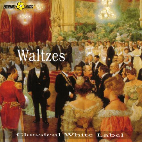 Johann Strauss II - Blue Danube Waltz Op.314