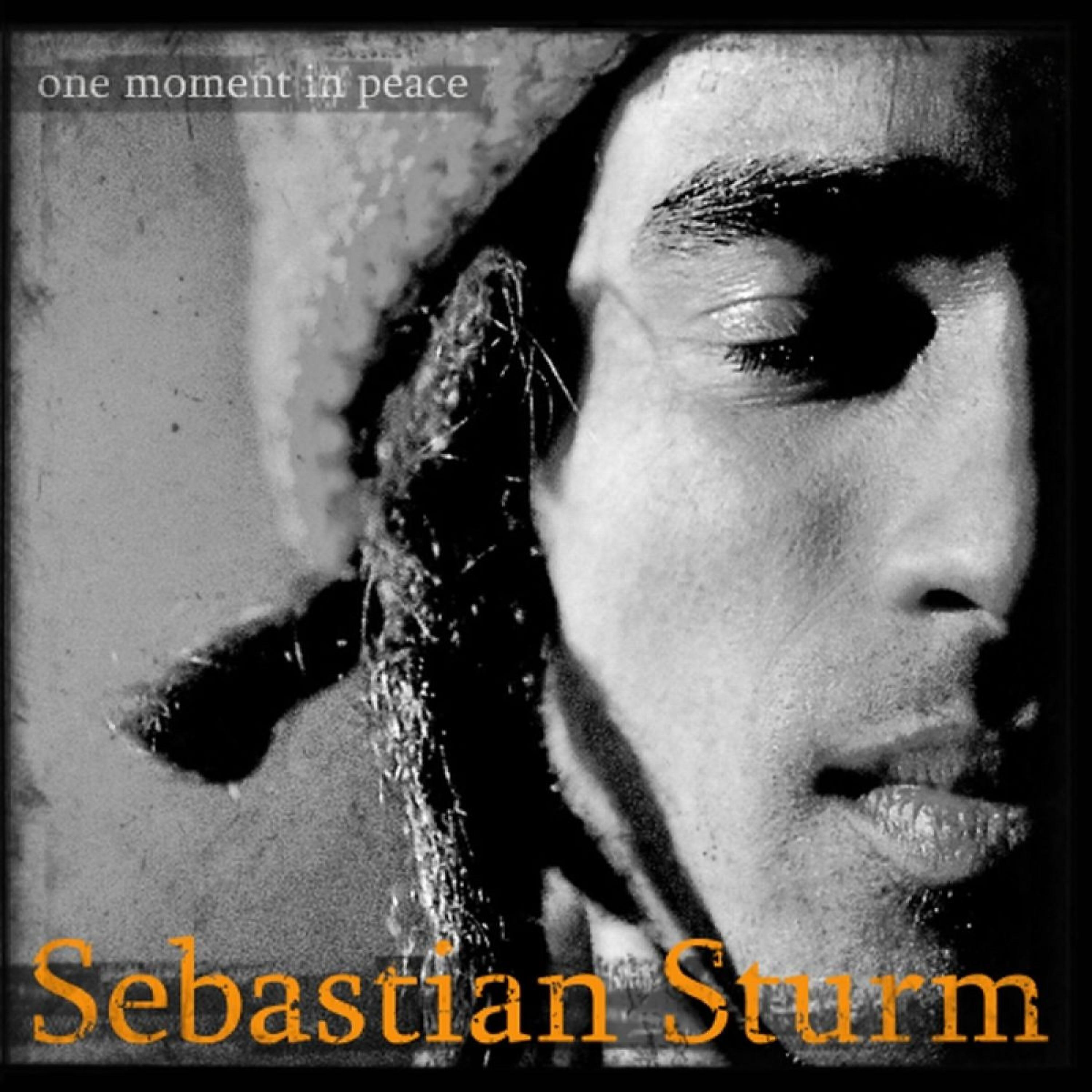 Sebastian Sturm - No Wiser