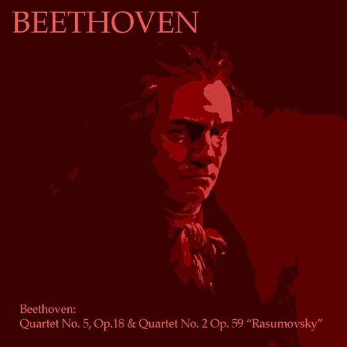 Calvet Quartet - Quartet in E Minor, Op. 59, No. 2 : III. Allegretto Rasumovsky