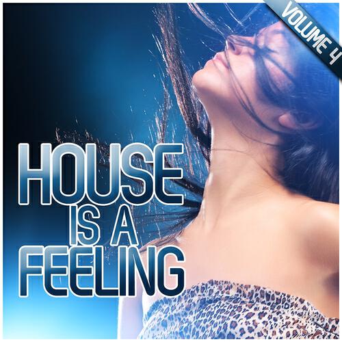 Dim Chris - Sometimes I Feel (Avicii's Out of Miami Mix)