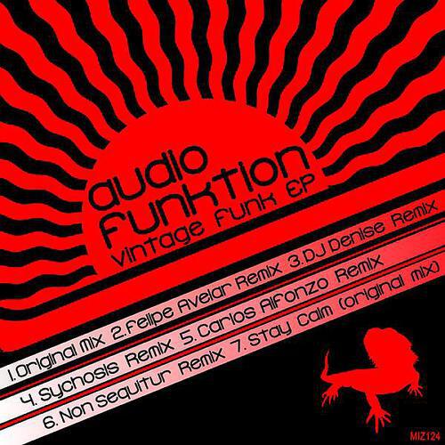 Audiofunktion - Vintage Funk (Felipe Avelar Remix)