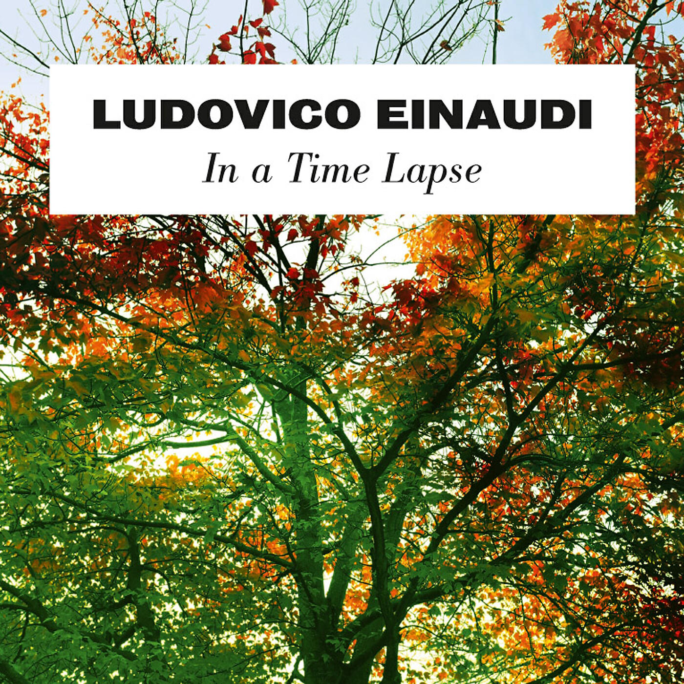 Ludovico Einaudi - Einaudi: Life