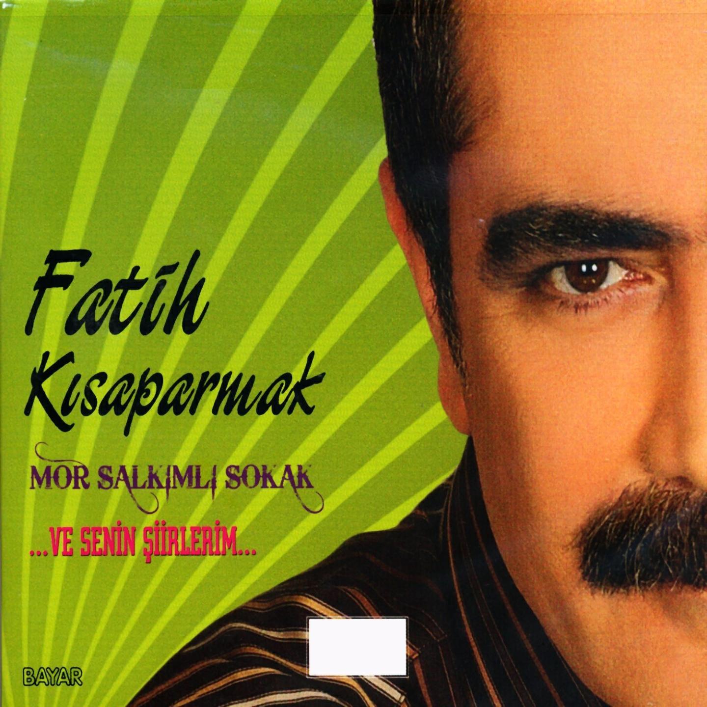 Fatih Kısaparmak - Geceler