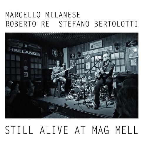 MRB Trio - Friday Mood (Live)