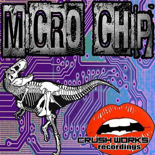Transitbot - Micro Chips