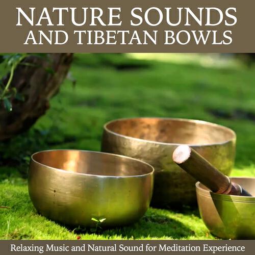 Angel Anne - Singing Bowls on the Lakeshore (Nature Recording and Singing Bowls Session)