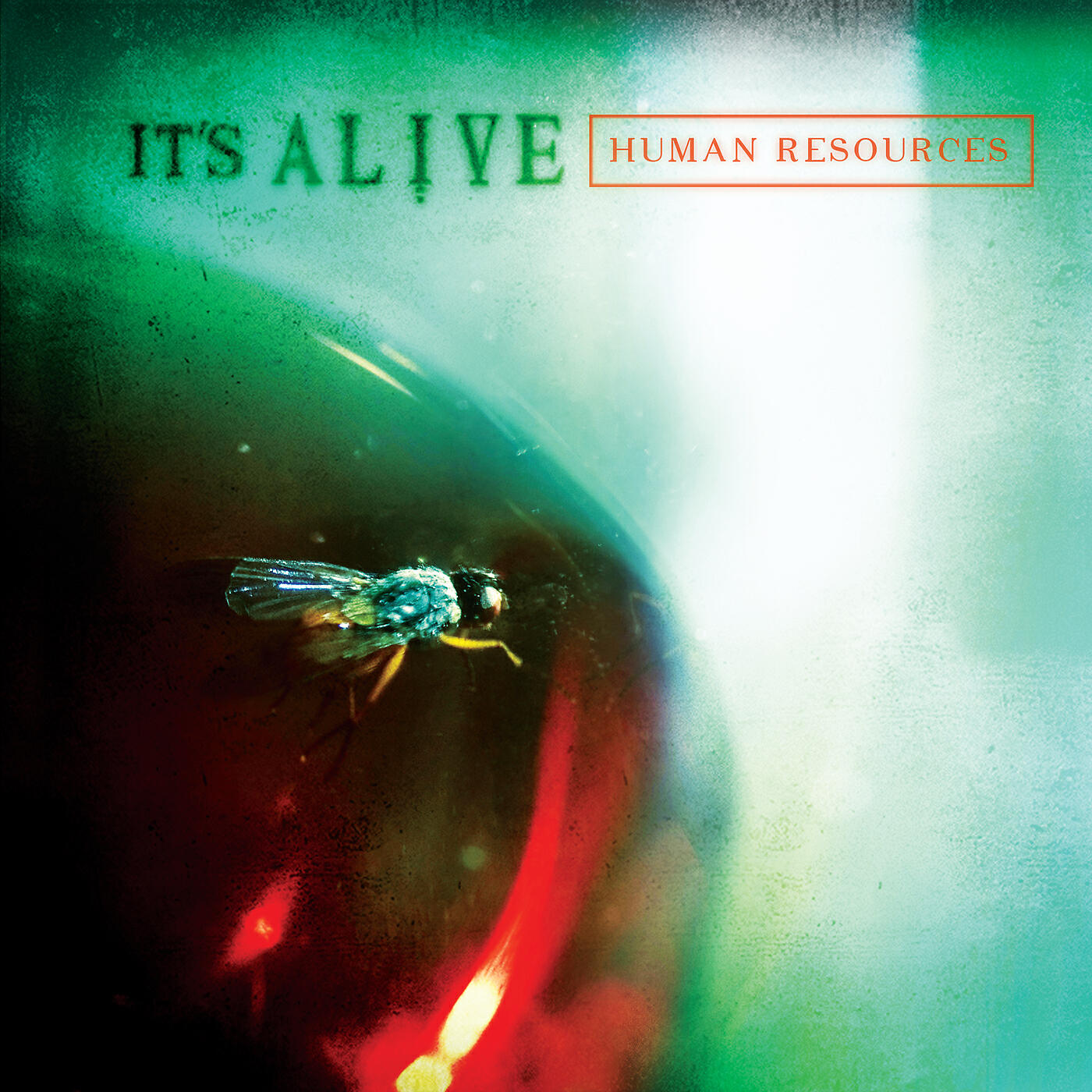 It's Alive - The Bottom