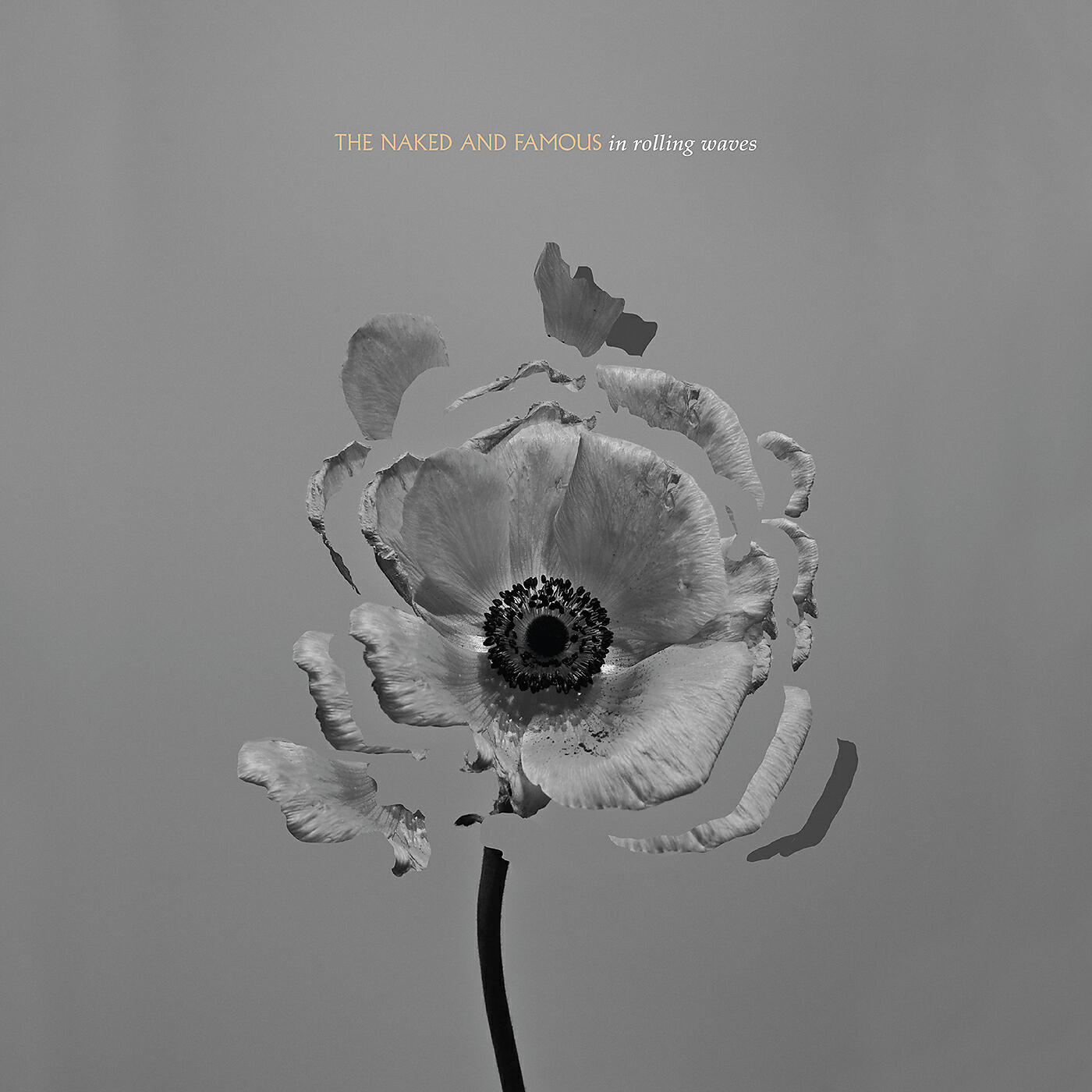 The Naked And Famous - A Stillness (Ducky Remix)