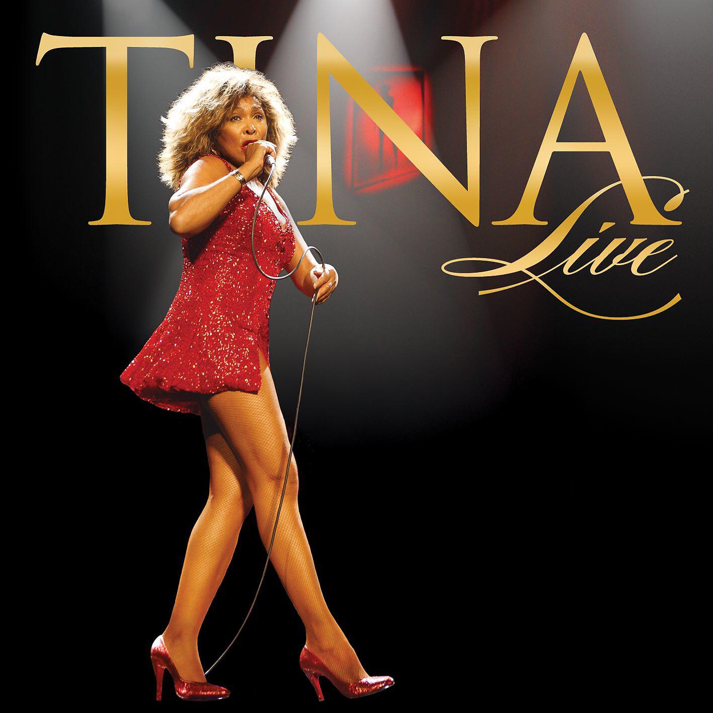 Tina Turner - Simply the Best (Live in Arnhem)