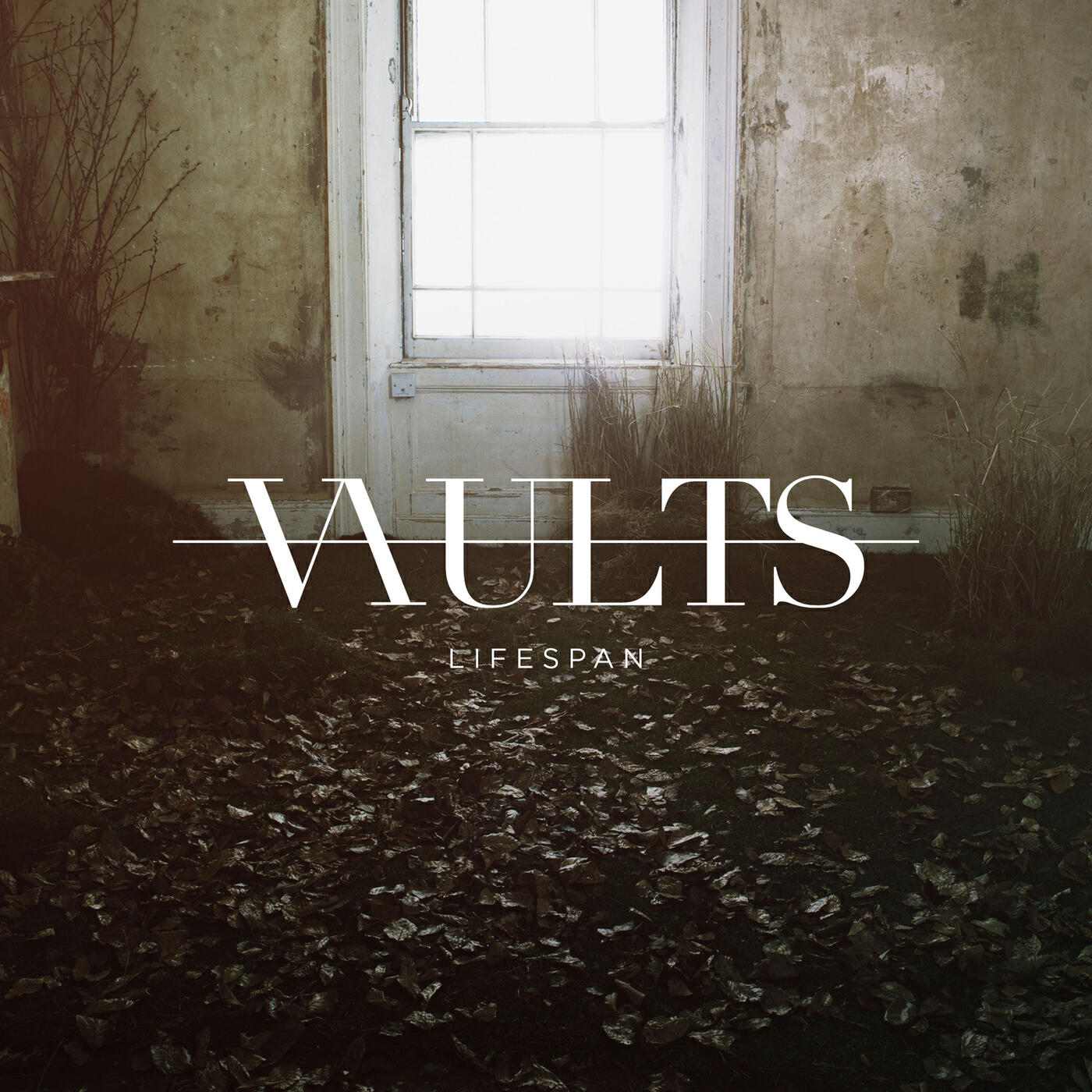 Vaults - Lifespan (Instrumental)