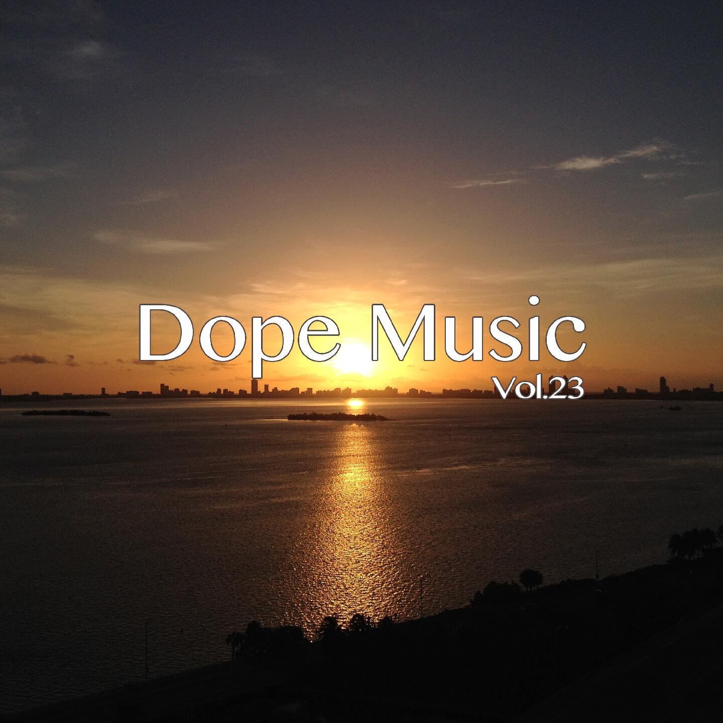 Silvio Rodrigues - Lose (Duque Remix)