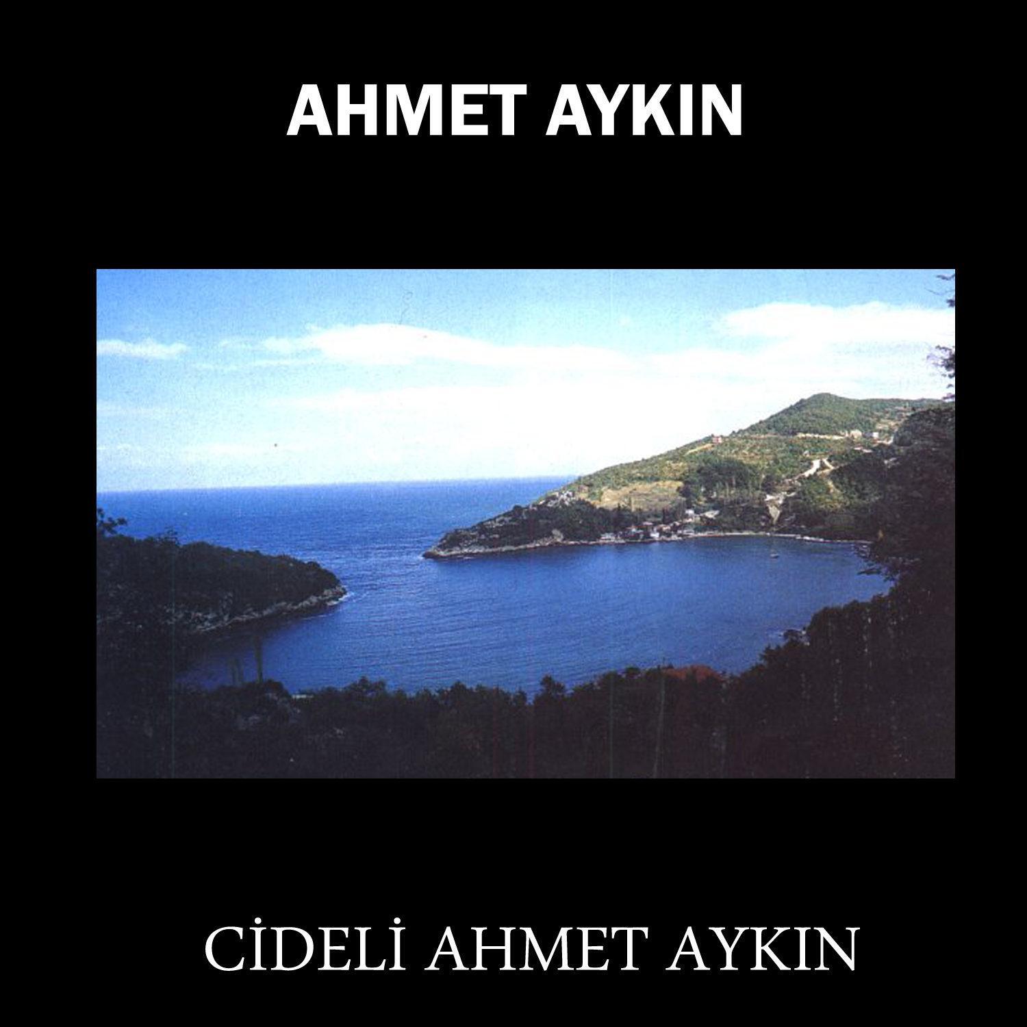 Ahmet Aykın - Arı Kuşum