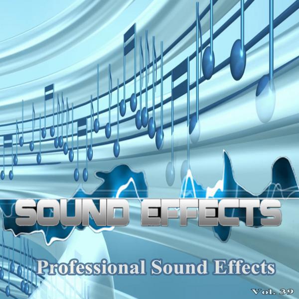 Professional Sound Effects Group - Woop Woop Police