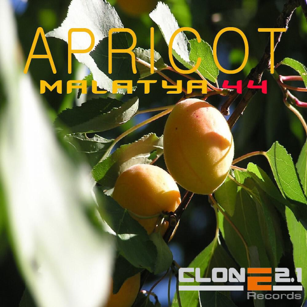 Malatya 44 - Apricot (DJ Sakin Remix)