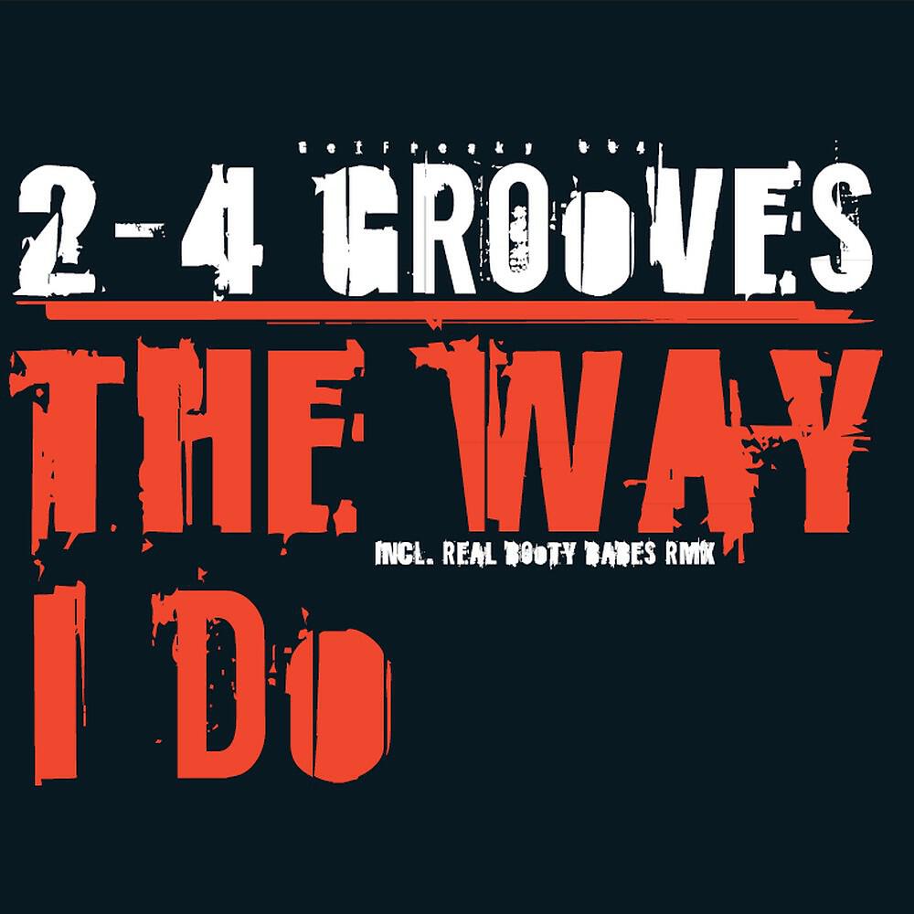 2-4 Grooves - Like the Way I Do (The Real Booty Babes Remix)