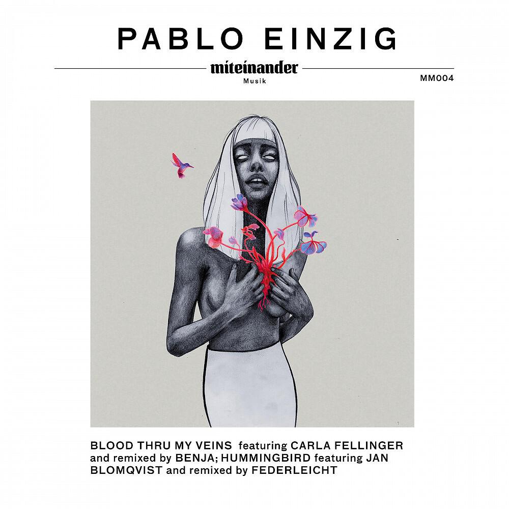 Pablo Einzig - Hummingbird (Federleicht Remix)