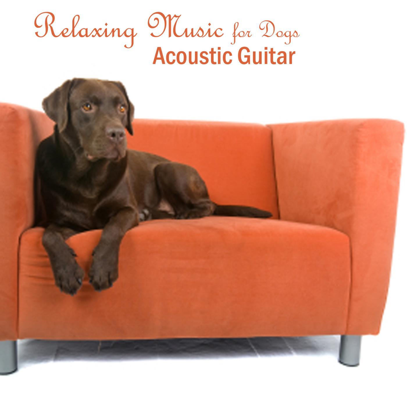 Acoustic Guitar Songs - Turn Turn Turn