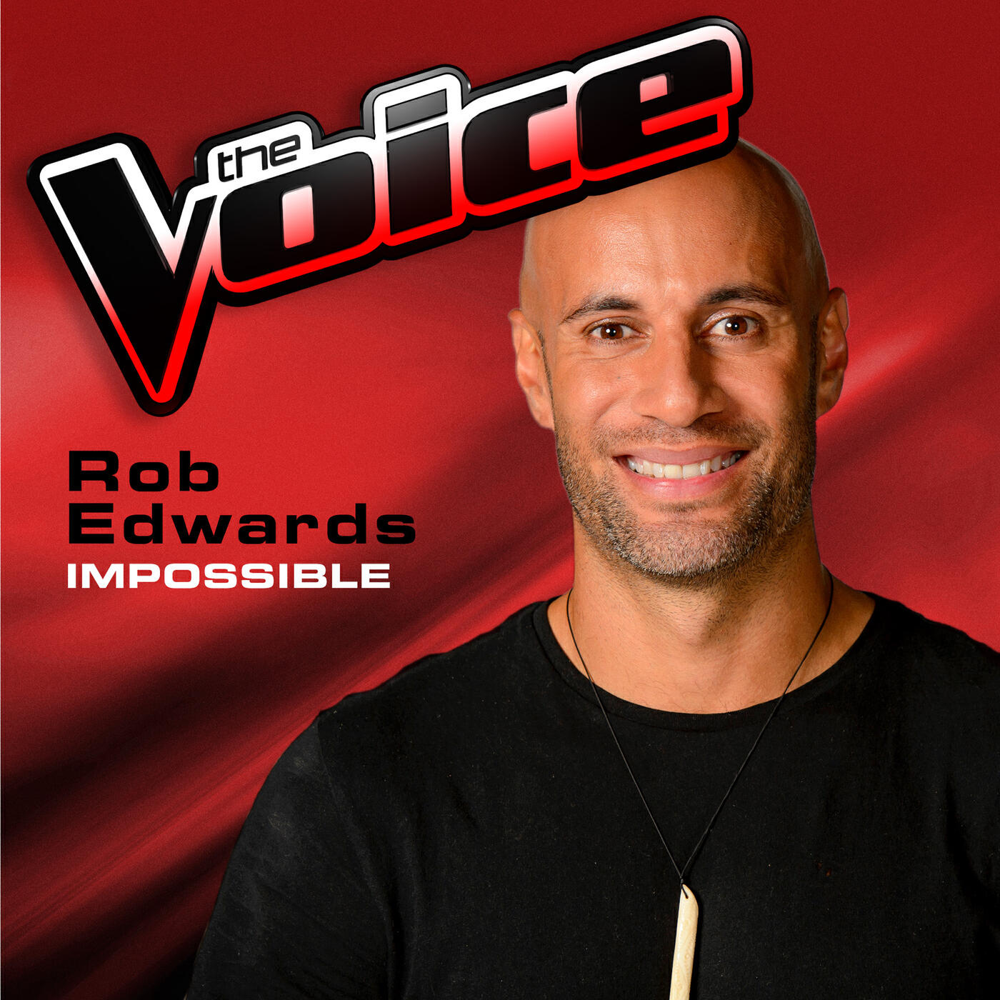 Rob Edwards - Impossible (The Voice 2013 Performance)