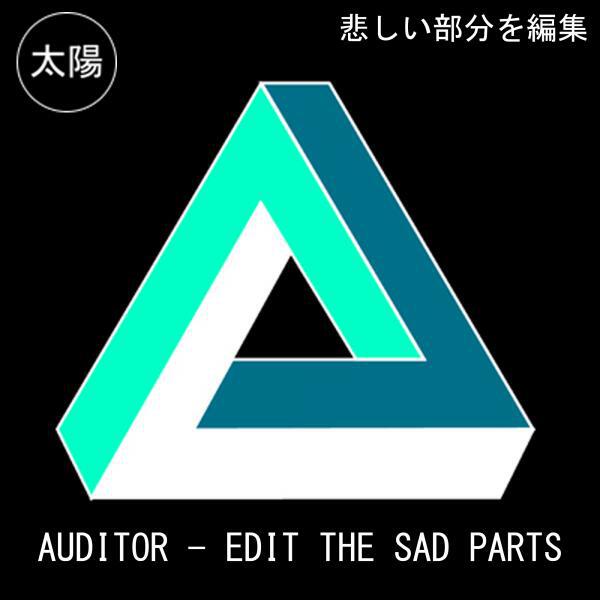 Auditor - Souvenir (Original Mix)