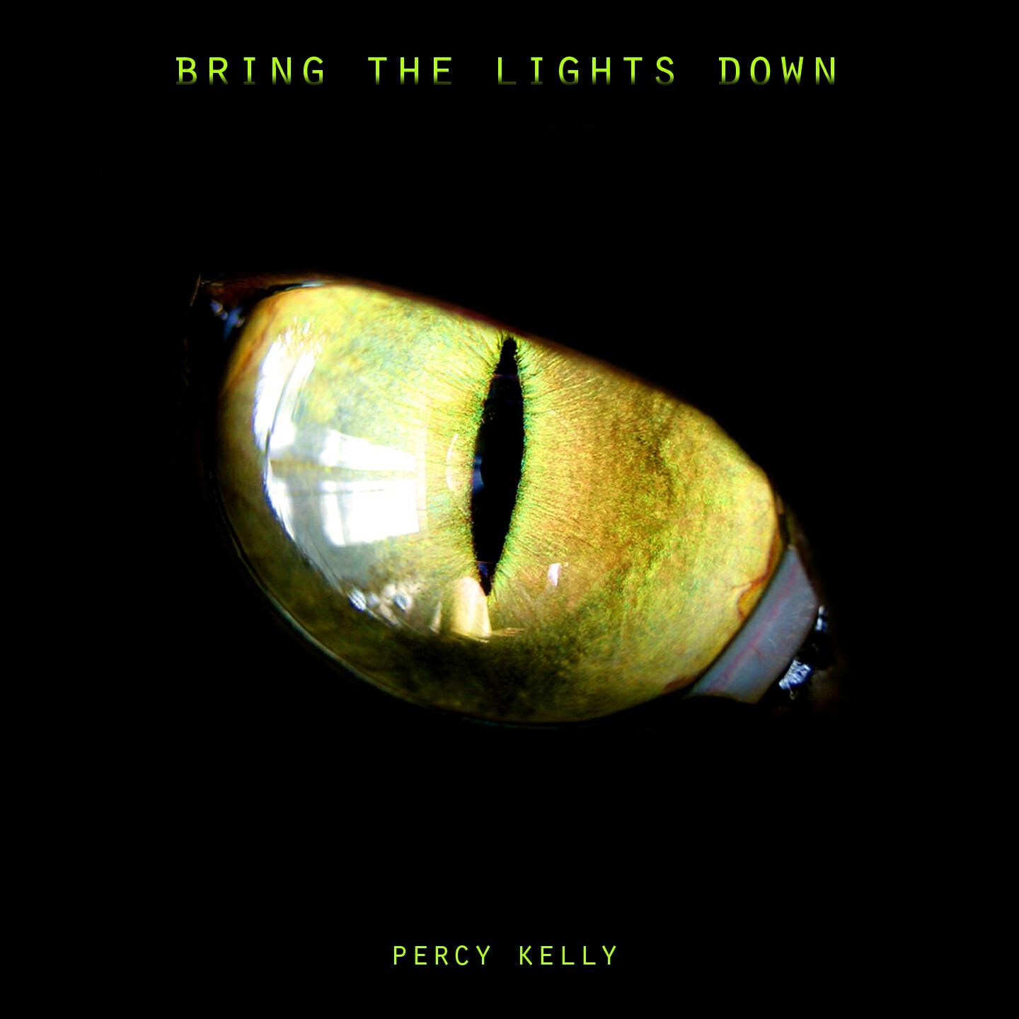 Percy Kelly - American Gigolo