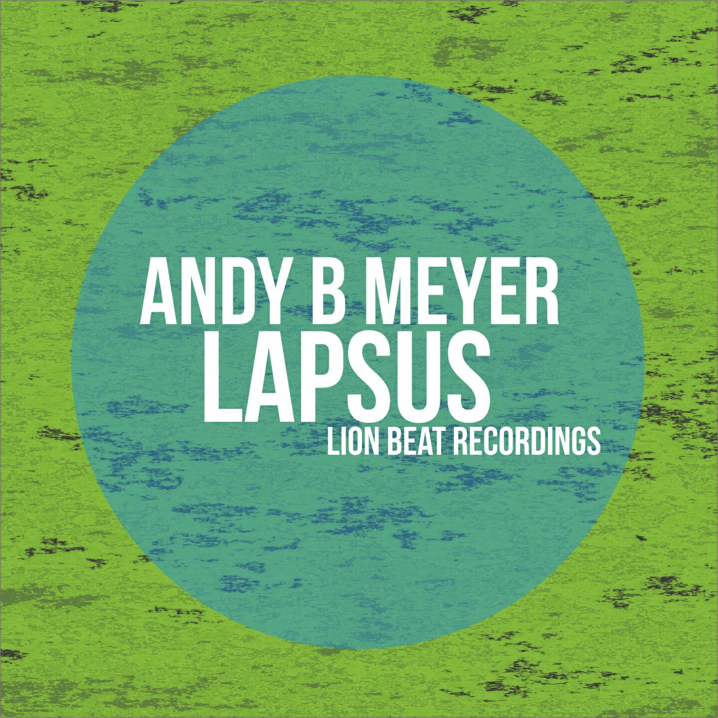 Andy B Meyer - Lapsus