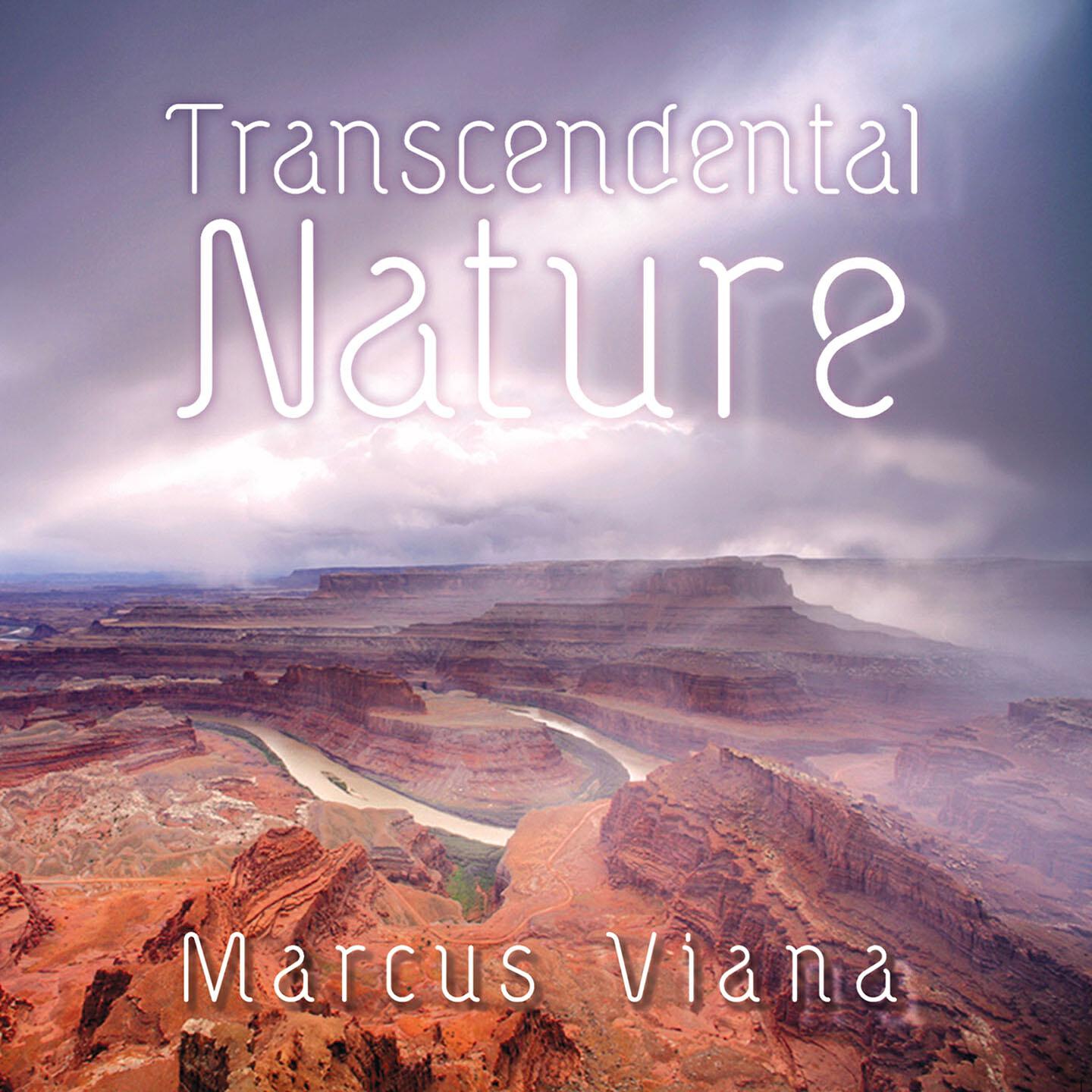 Marcus Viana - Hymn to Gaya