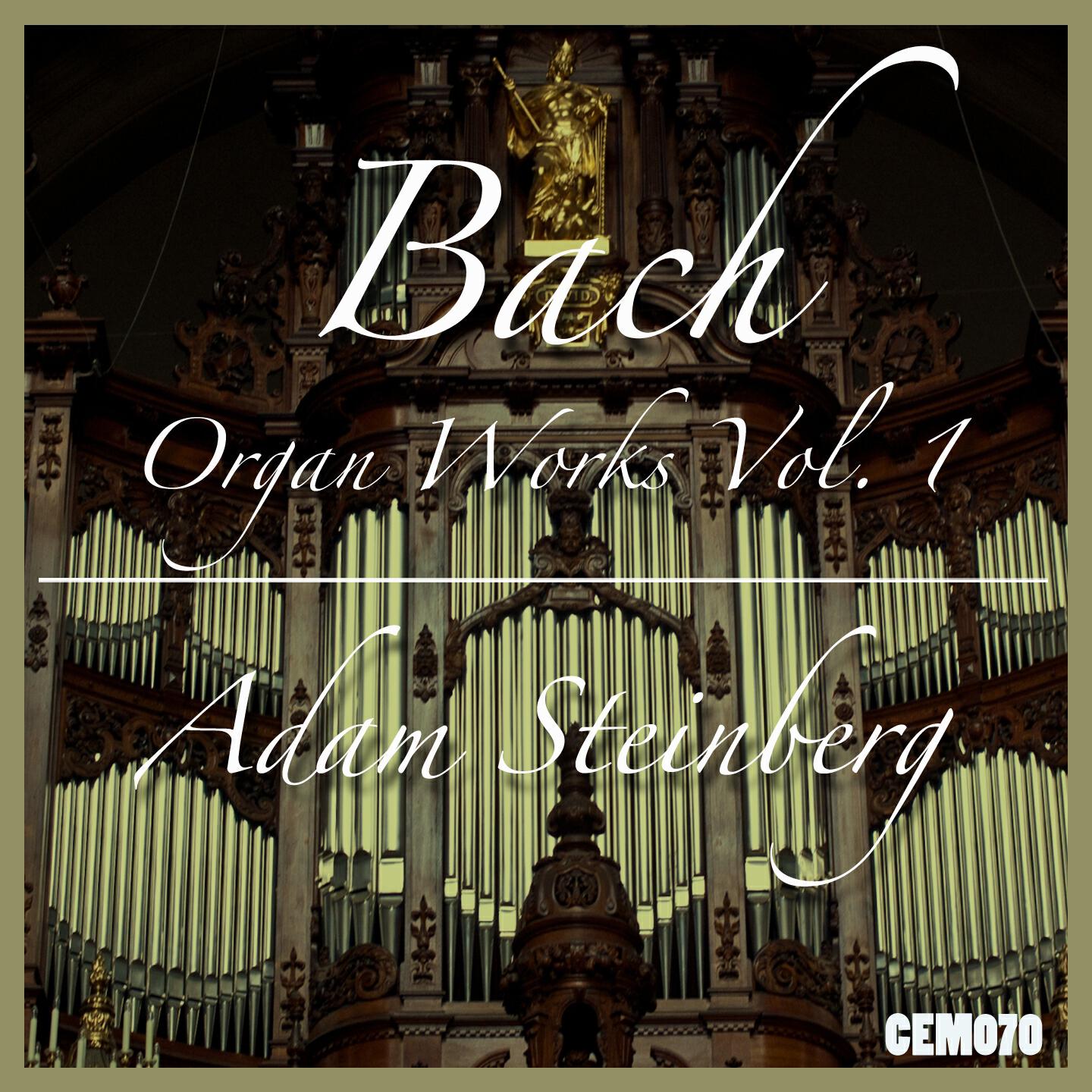 Adam Steinberg - Fantasia and Imitation in B Minor, BWV 563, BC.J43