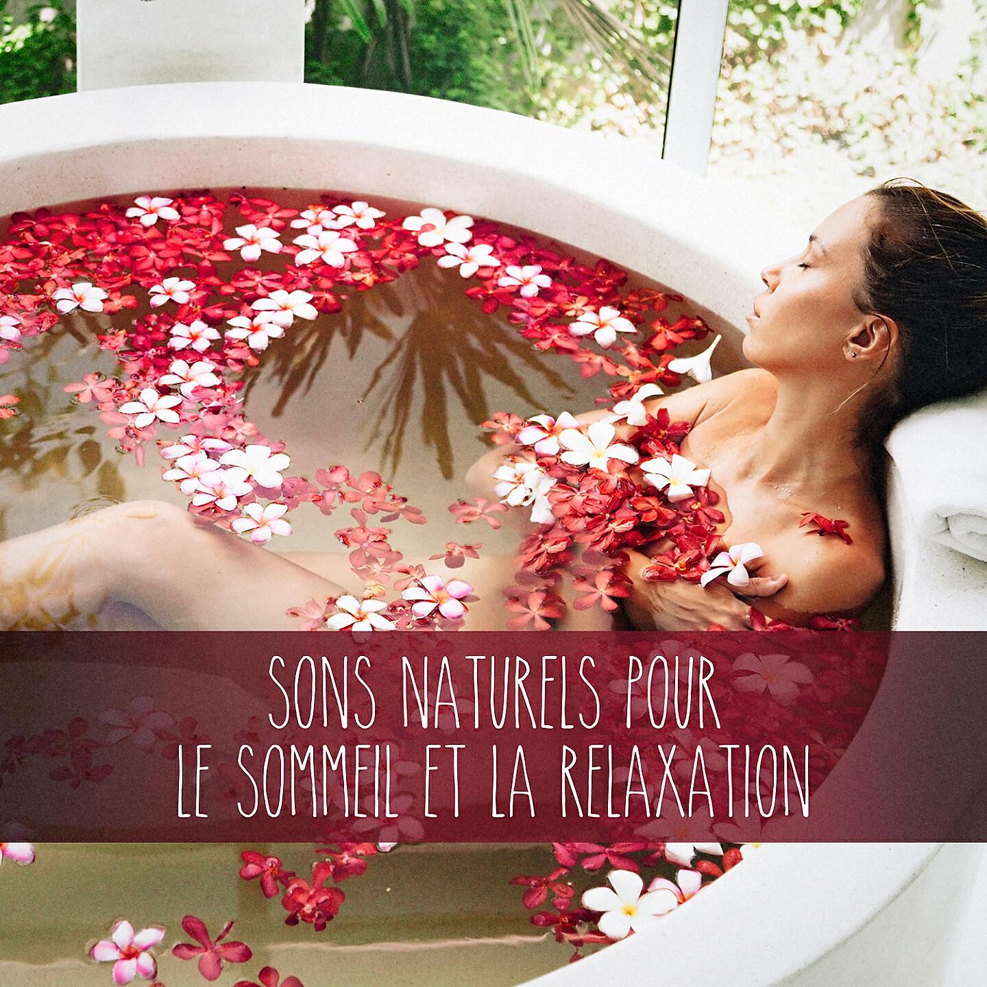 Michael Hamilton - Moqueur roux