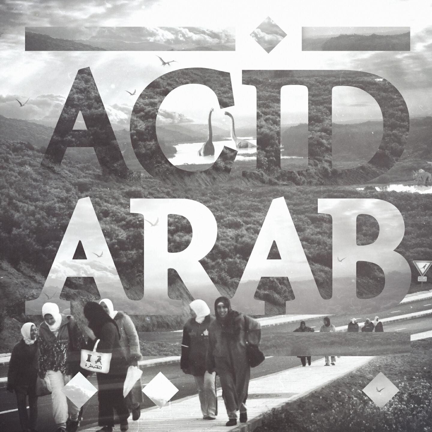 Acid Arab - Hafla (Instrumental)