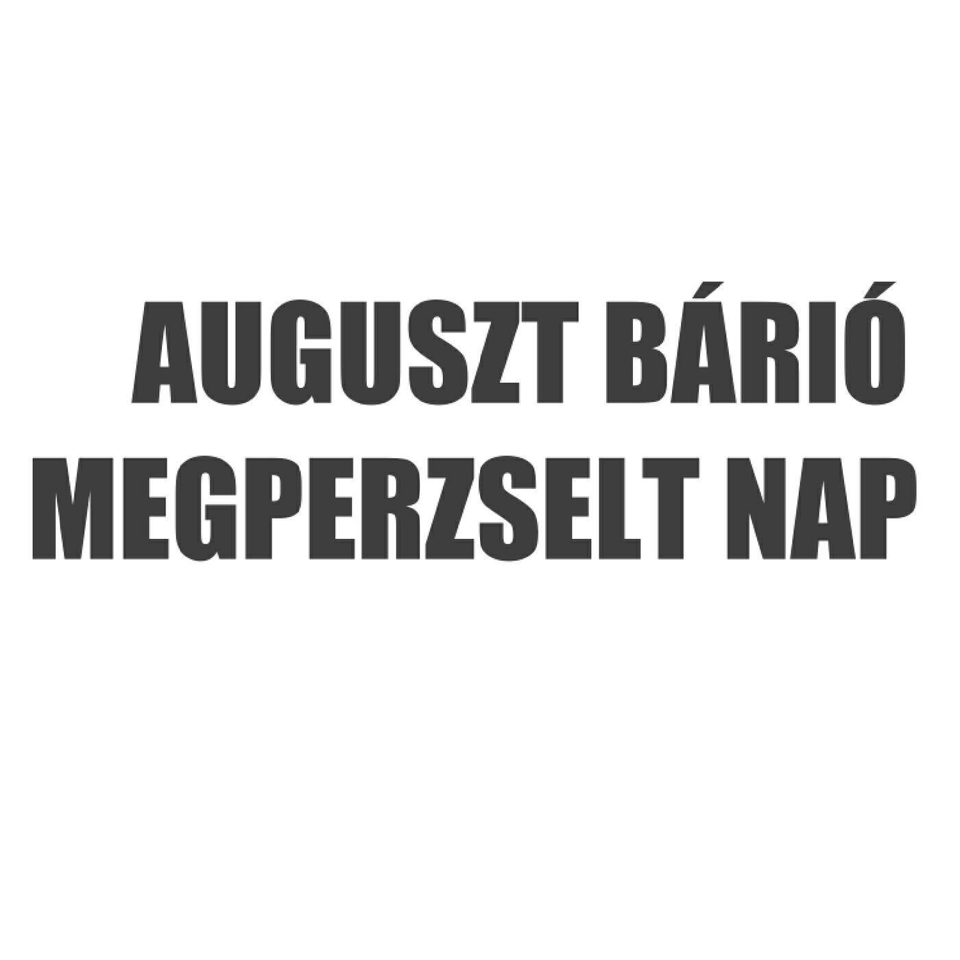 Bárió Auguszt - Megperzselt Nap (Funkhouse Mix)