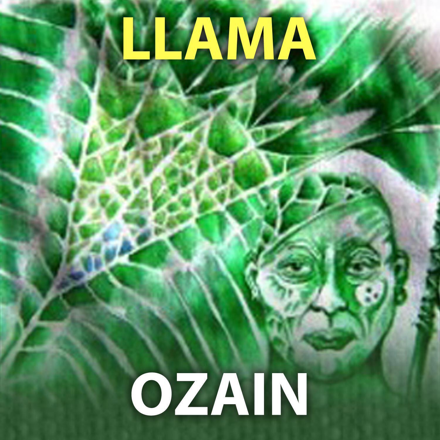 Abbilona Digital - Ozain Llama
