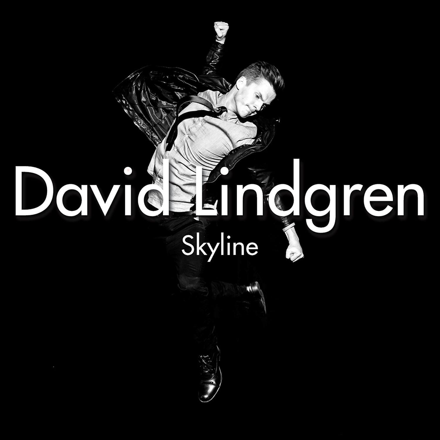 David Lindgren - Skyline (SoundFactory Radio Edit)