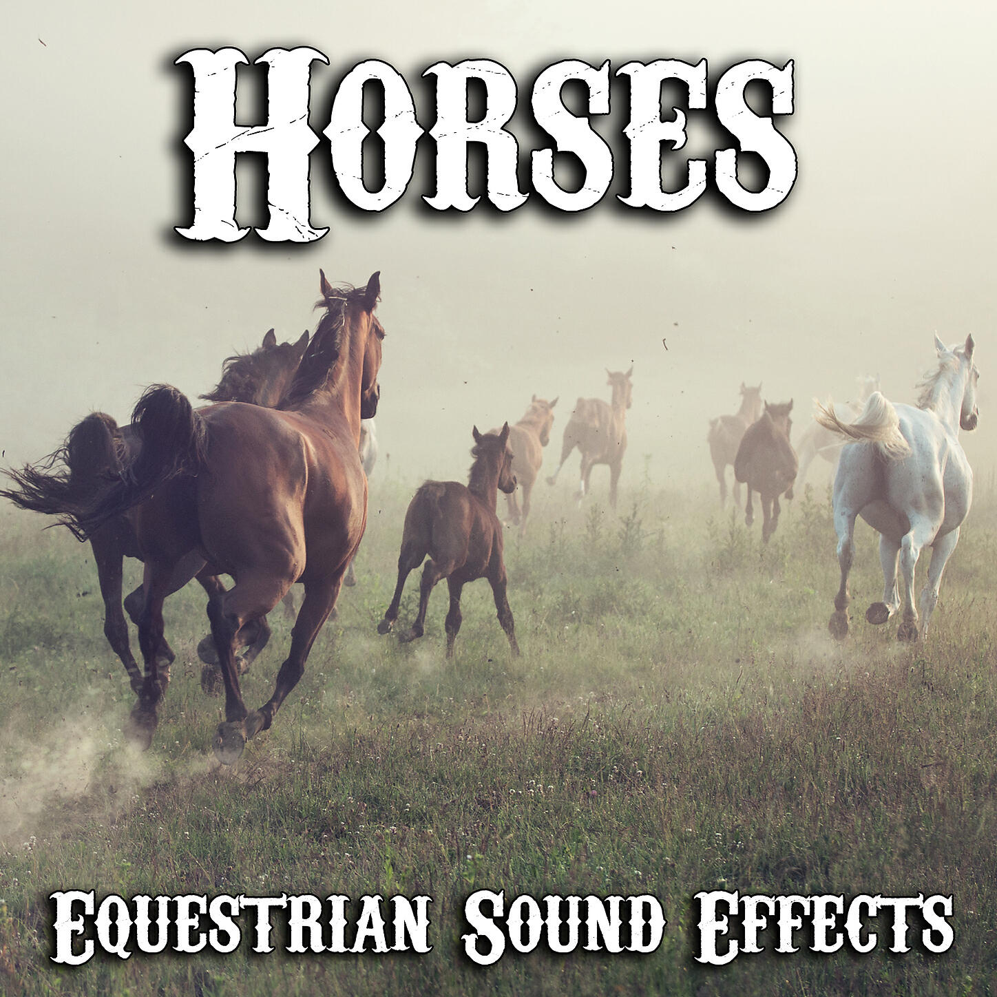 Audio Decor Sound Effects - Morning Commuter Horse
