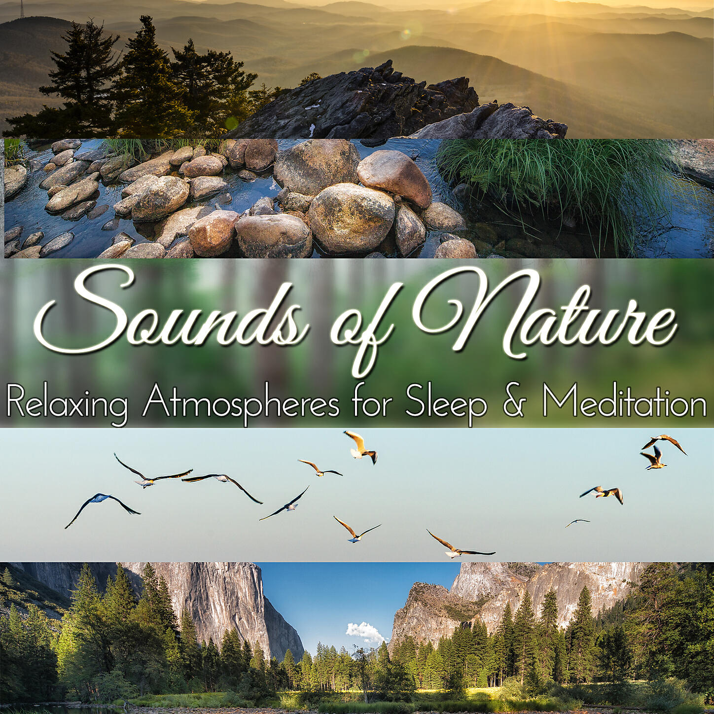 Audio Decor Sound Effects - Walking in a Tropical Forest