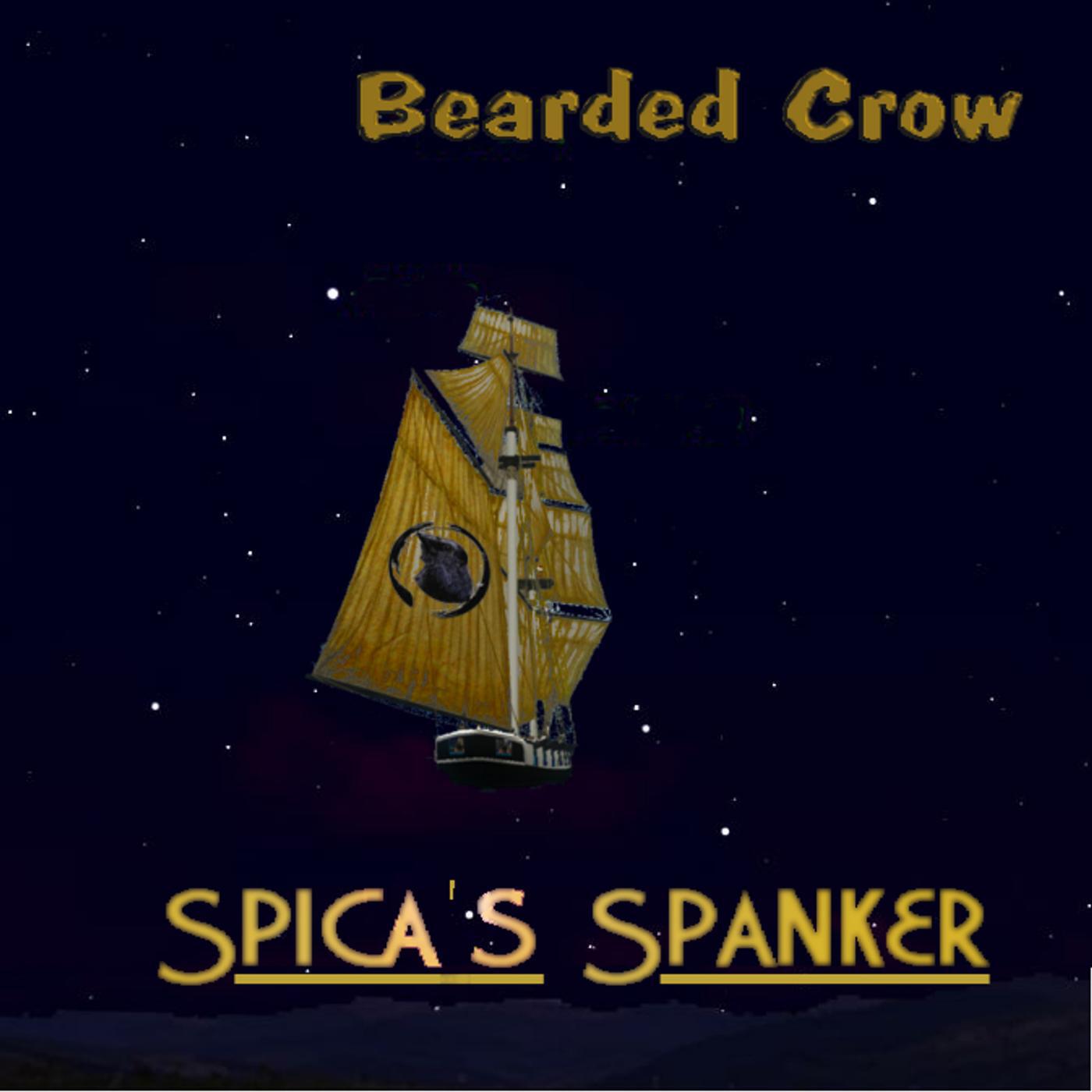 Bearded Crow - Signal Loss