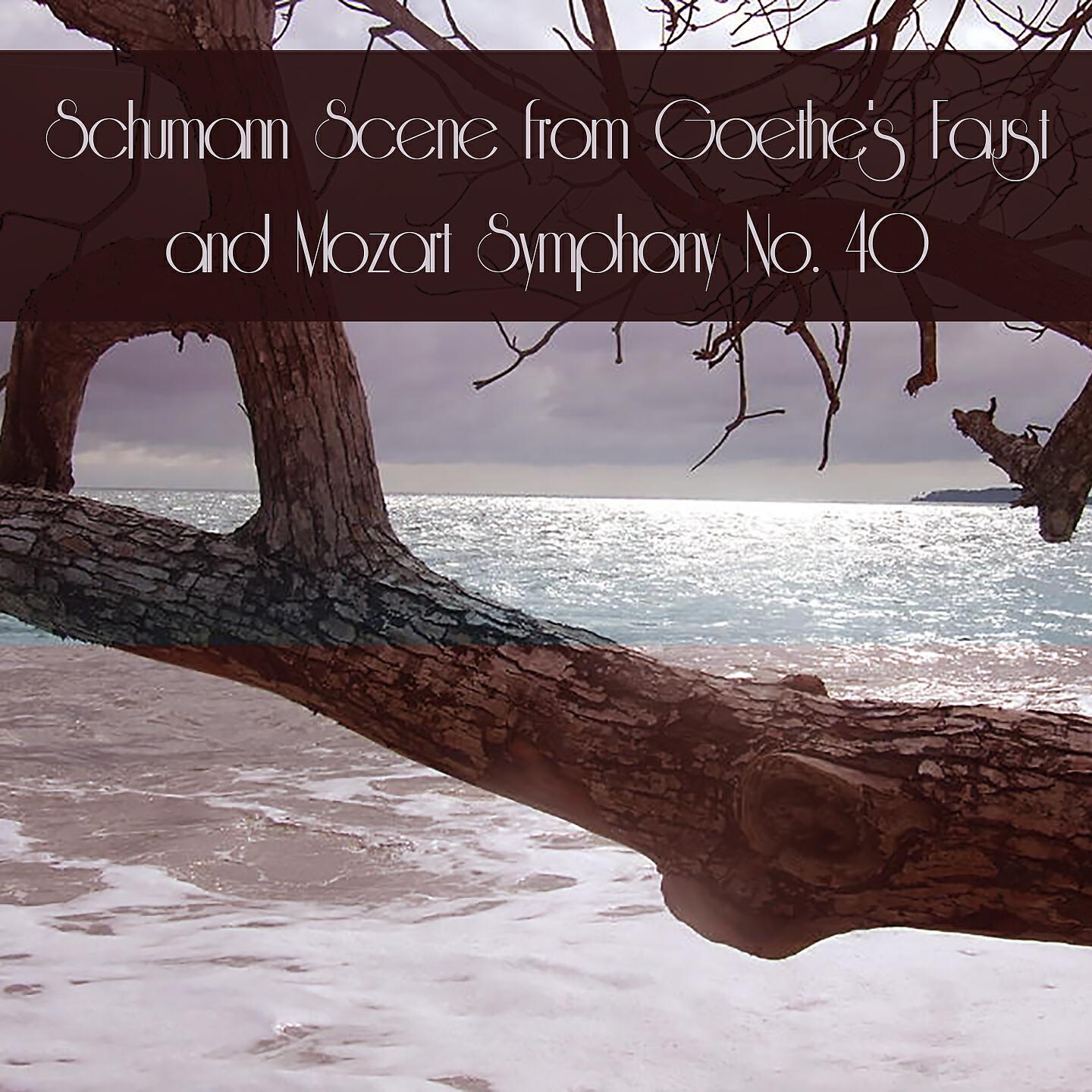 English Chamber Orchestra - Scenes from Goethe's Faust, WoO 3: V. Hier ist die Aussicht frei