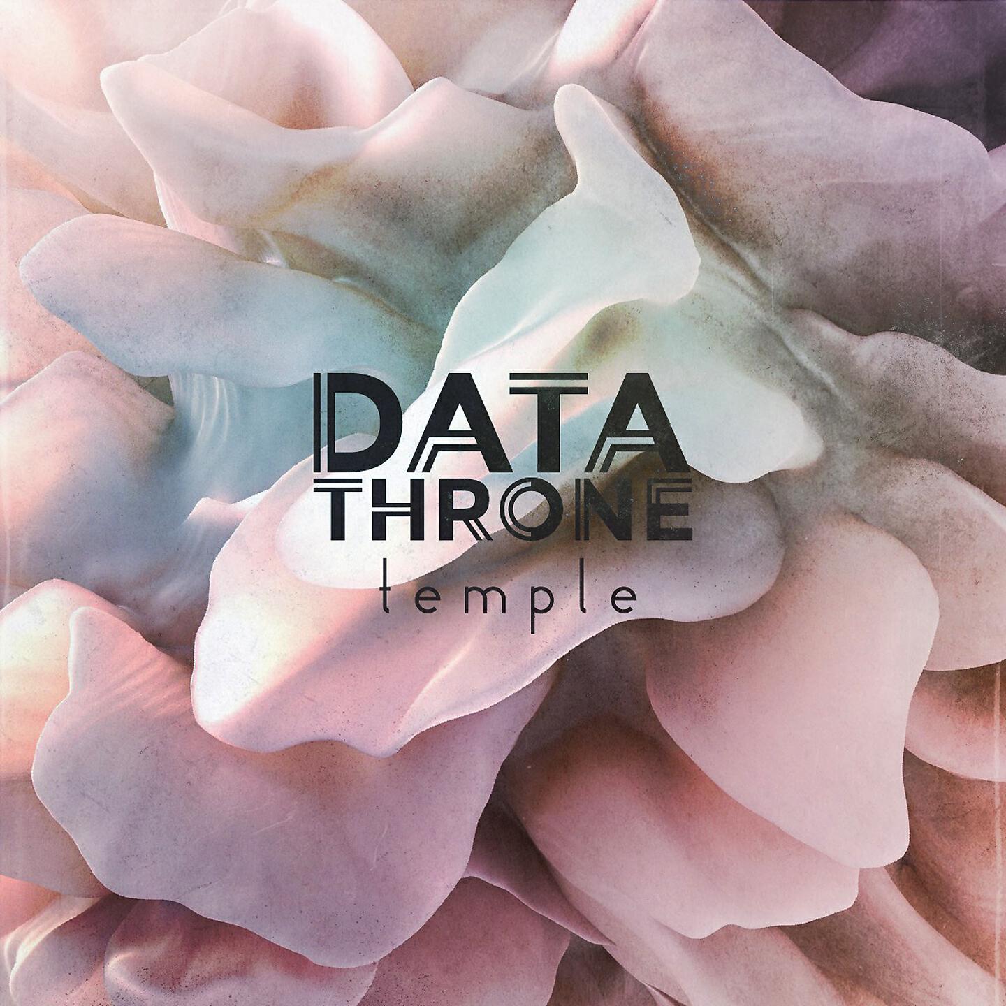 Data Throne - Theta Delusion