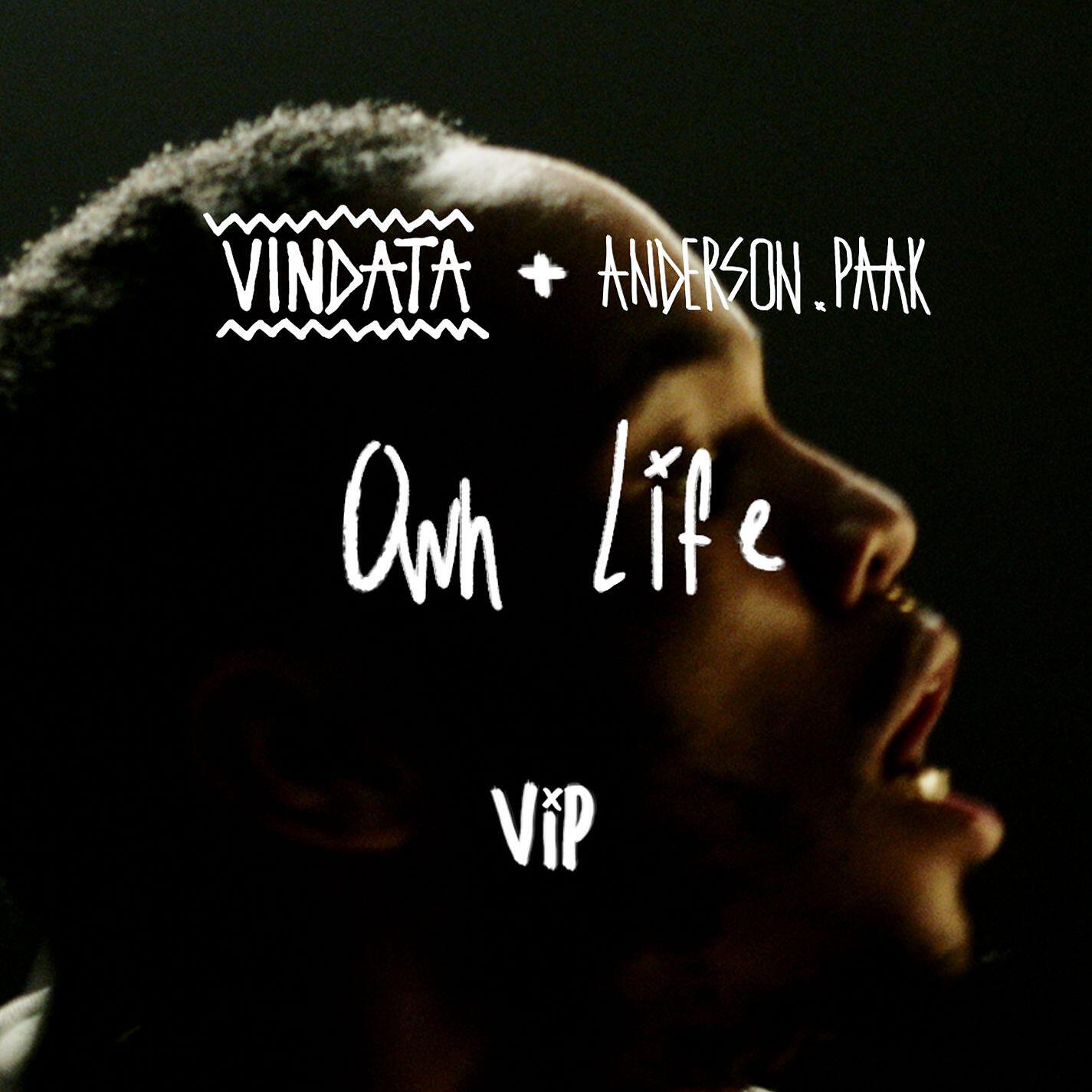 Vindata - Own Life (feat. Anderson .Paak) [VIP Mix]