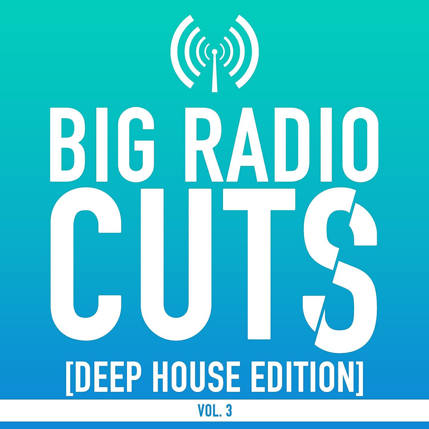 Amniza - No Shame (Radio Edit)
