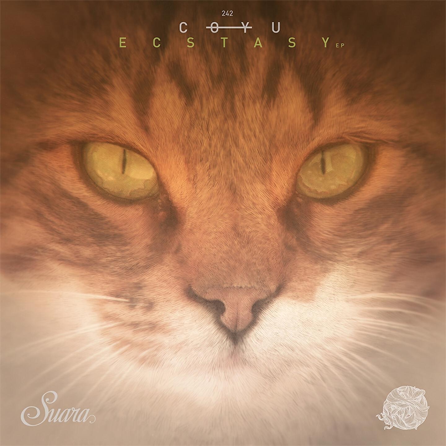 Coyu - Ecstasy (Late at Night Mix)