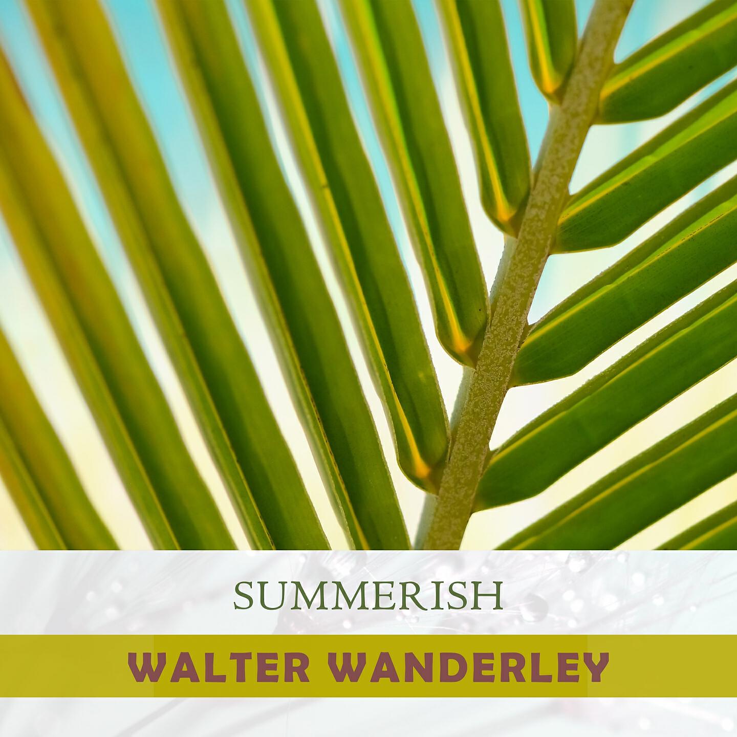 Walter Wanderley - Baby Rock