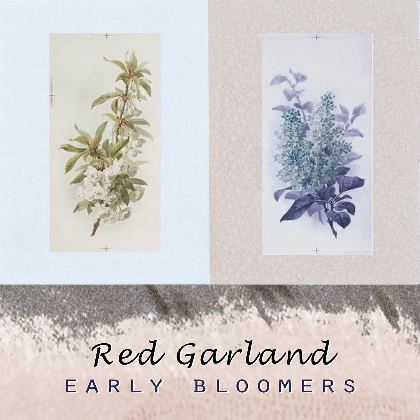 Red Garland - M Squad ( Theme )